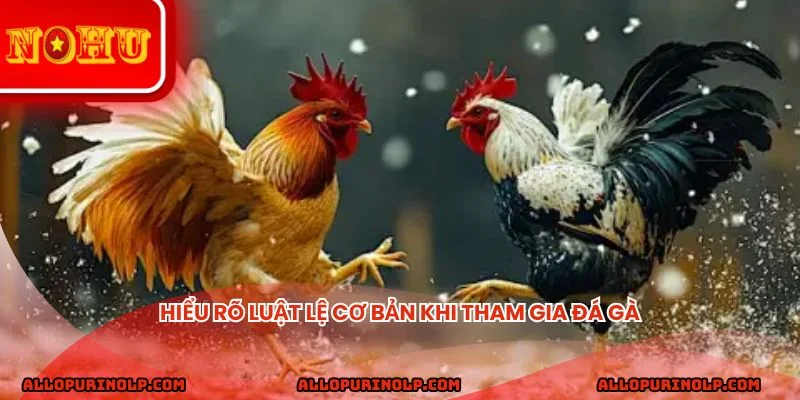 Hiểu rõ luật lệ cơ bản khi tham gia đá gà