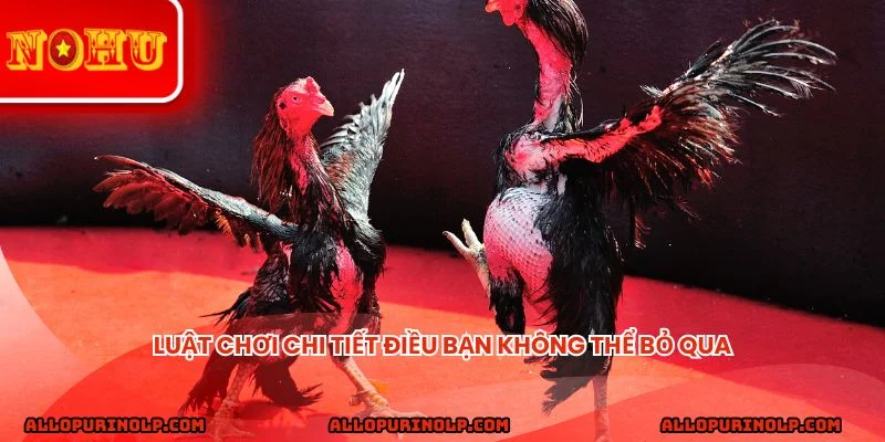 Luật chơi chi tiết điều bạn không thể bỏ qua