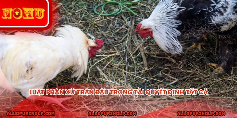 Luật phán xử trận đấu trọng tài quyết định tất cả