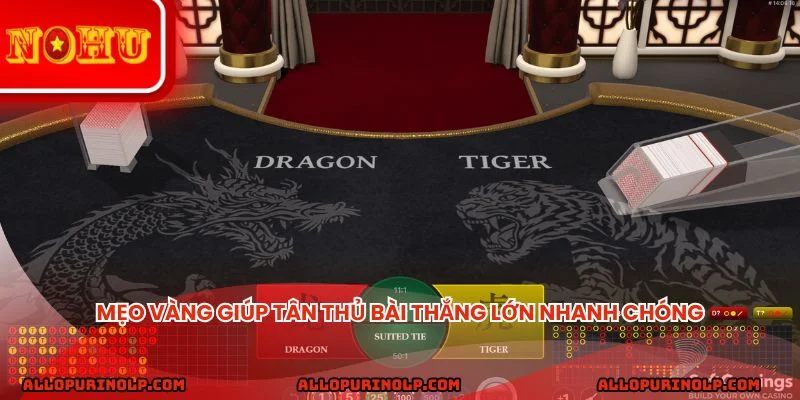 Mẹo vàng giúp tân thủ bài thắng lớn nhanh chóng