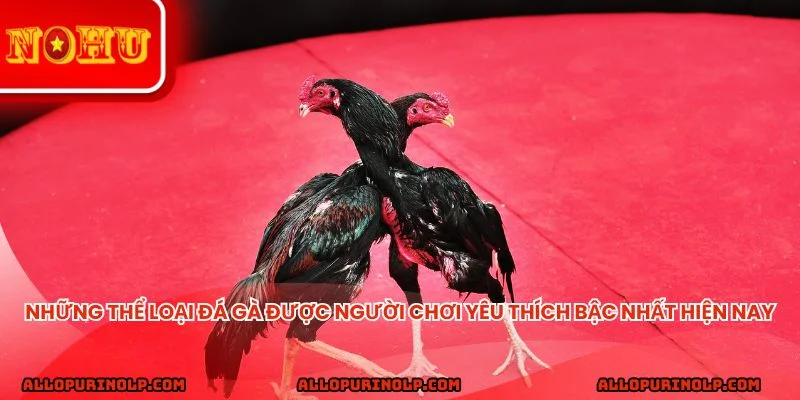 Những thể loại đá gà được người chơi yêu thích bậc nhất hiện nay