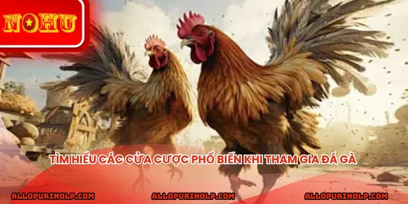Tìm hiểu các cửa cược phổ biến khi tham gia đá gà