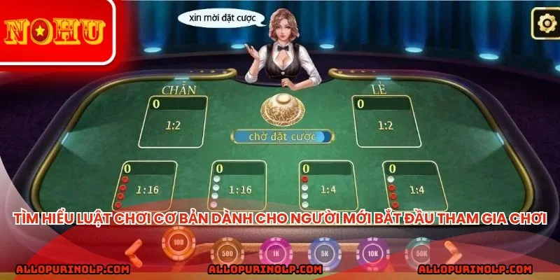 Tìm hiểu luật chơi cơ bản dành cho người mới bắt đầu tham gia chơi