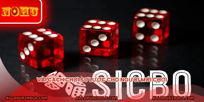 Vài cách chơi sơ lược cho người mới chơi