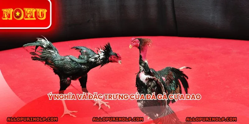 Ý nghĩa và đặc trưng của đá gà cựa dao